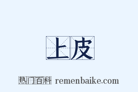 上皮是什么意思的图片